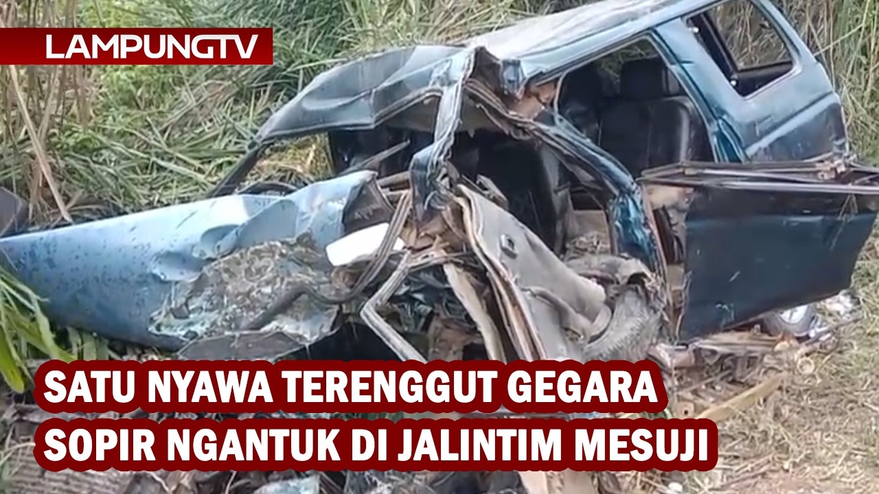 Satu Nyawa Terenggut Gegara Sopir Ngantuk di Jalintim Mesuji