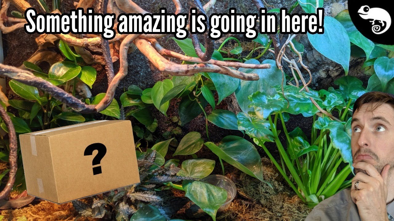 Social Distancing with Clint: My Emotional Rollercoaster! (Week 26)