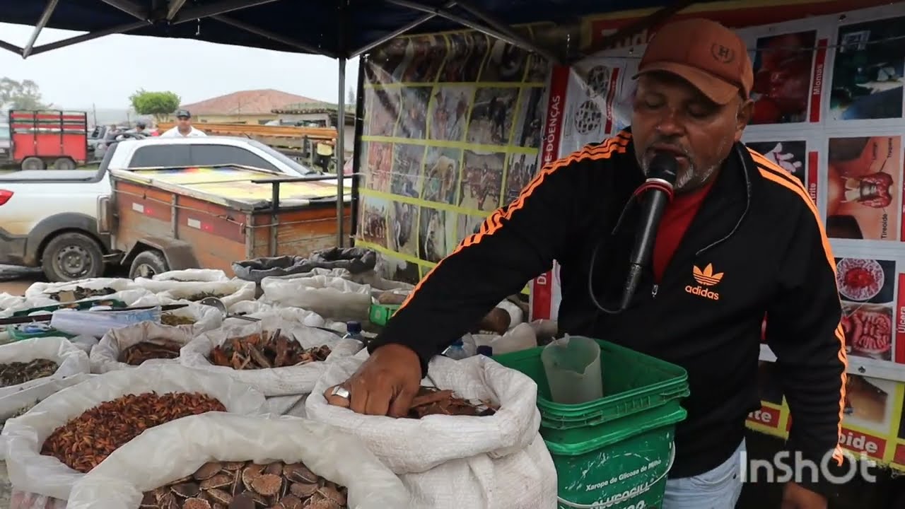 FILMEI O HOMEM DAS GARRAFADAS FEIRA DE CAPOEIRAS