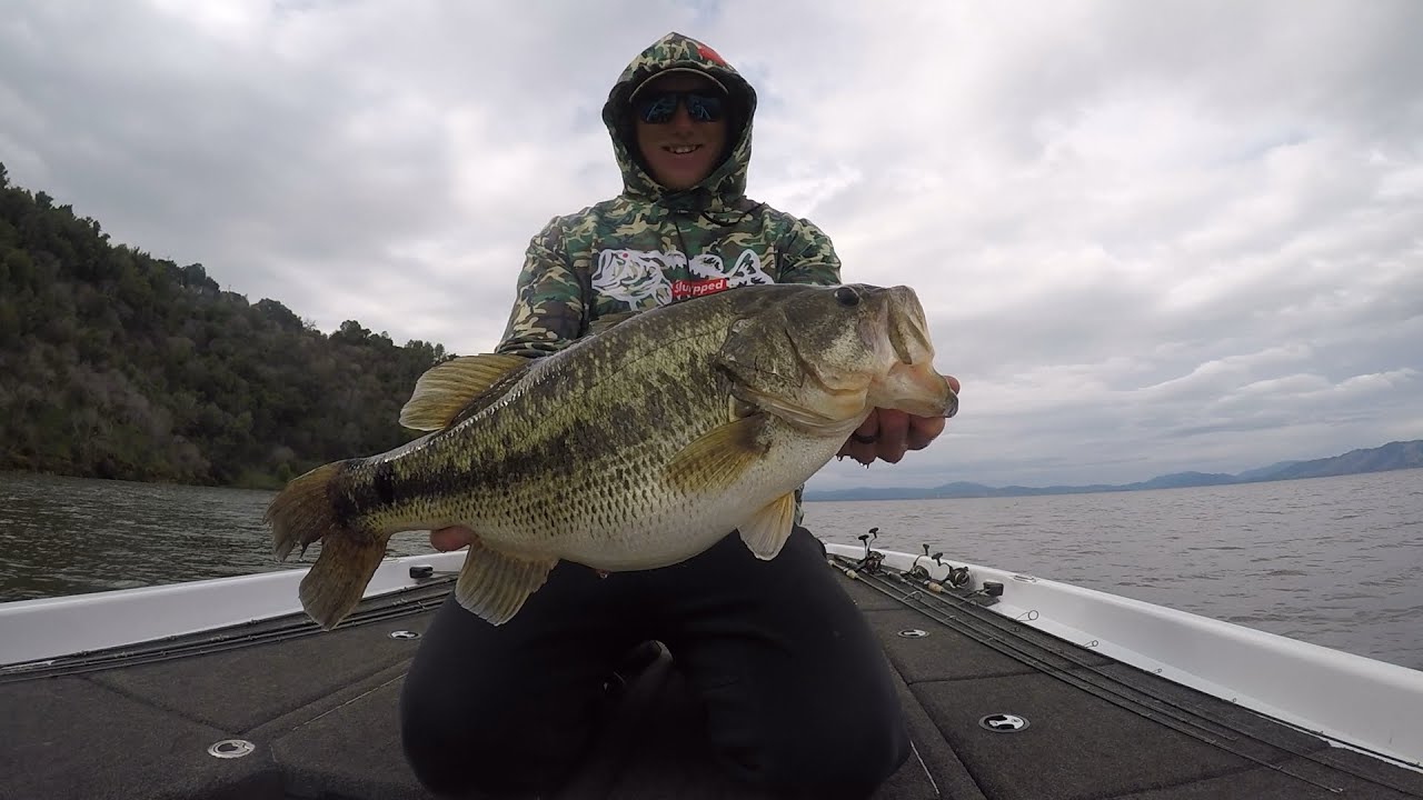 Scope Minnow 101 (как поймать крупного окуня, используя воблер Scope Minnow)