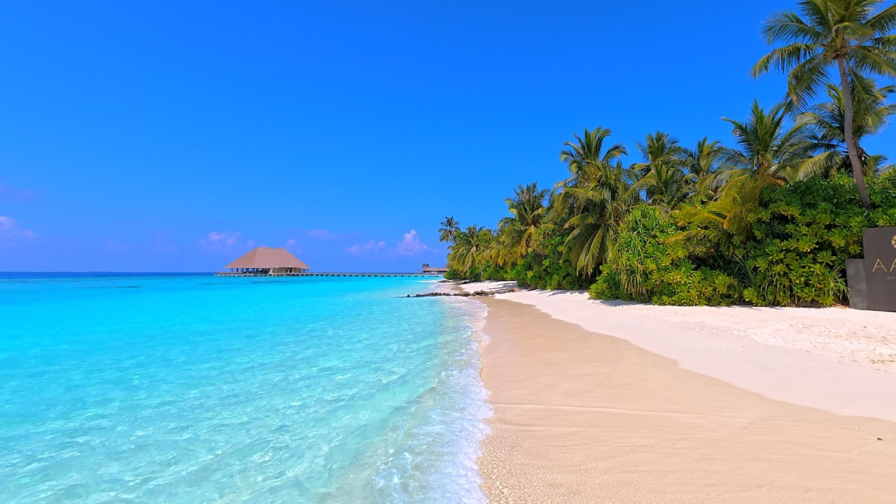 Fall Asleep In 5 Minutes With Ocean Sounds. Ocean Waves on a Tropical Island in Maldives