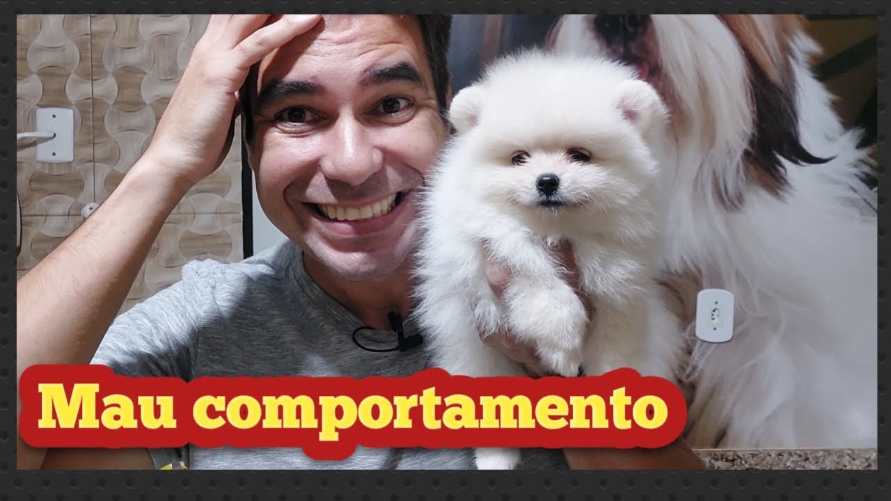 7 MAUS COMPORTAMENTOS DOS FILHOTES