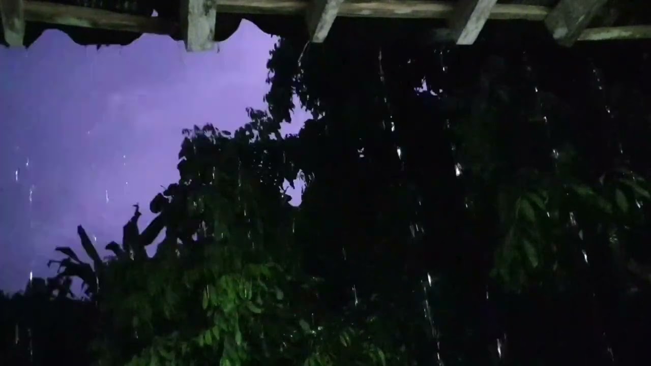 Suara Hujan Deras & Petir Lembut untuk Tidur Nyenyak | 1 Jam Relaksasi Total 🌙