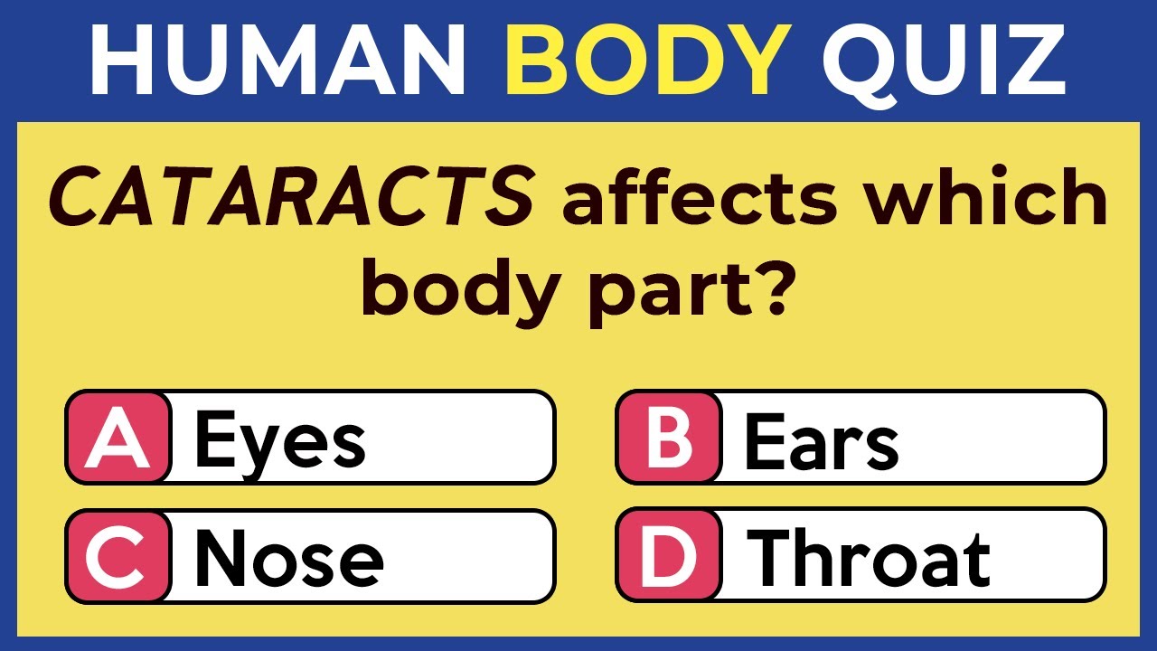 Human Body Trivia Quiz Challenge! 👀 How Much Do You Really Know About Yourself?