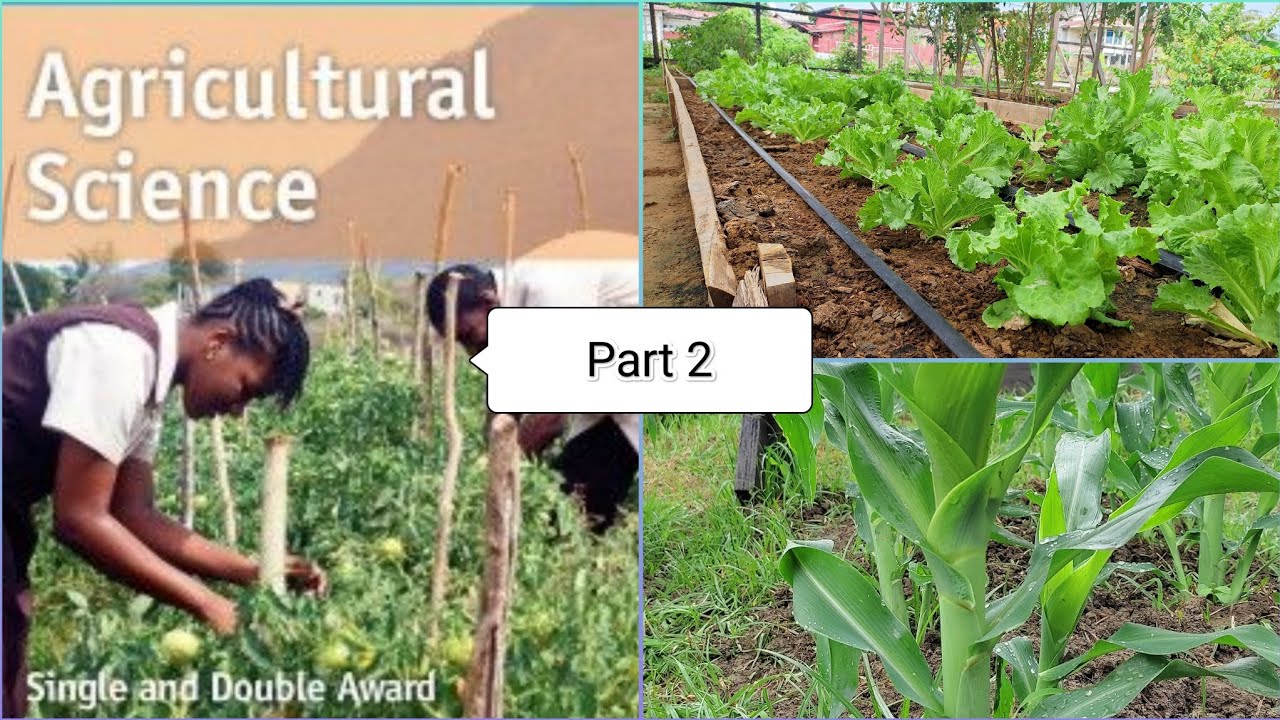 Agricultural Science 2023 | Paper 1 | Questions 16-60