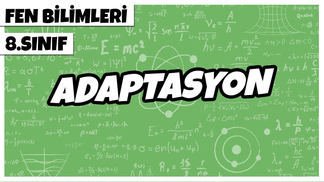 8. Sınıf Fen Bilimleri - Adaptasyon | 2022