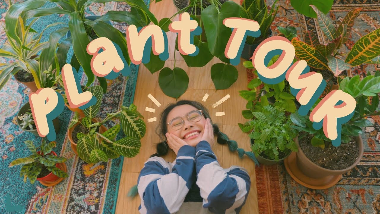 plant tour ! ft. a semi-bad plant mom 🪴✨