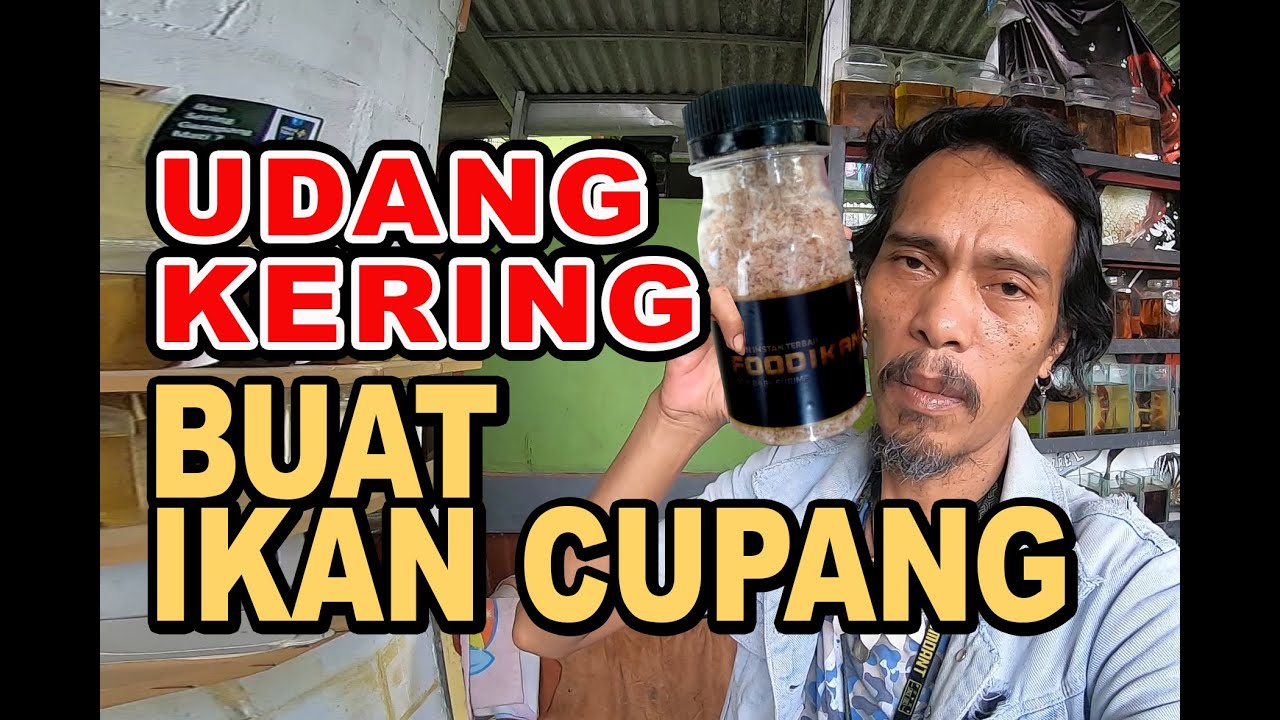 UDANG KERING 