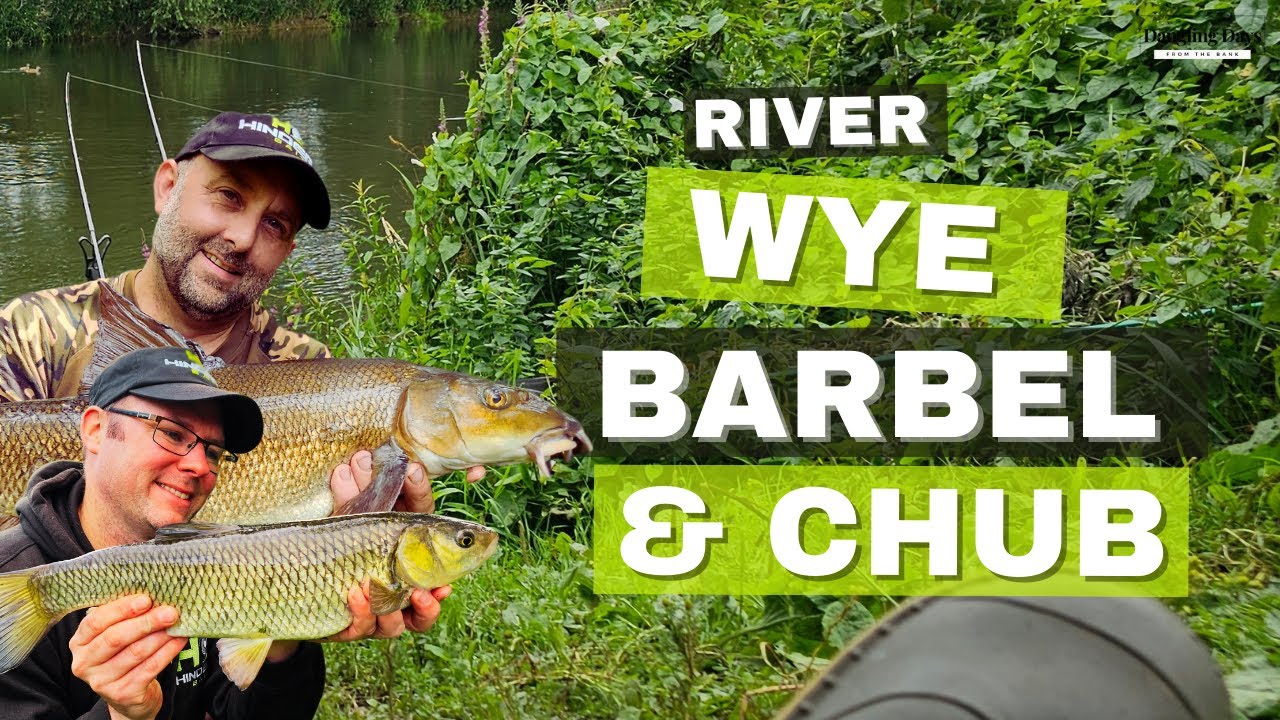 THE GREAT RIVER WYE - THE HUNT FOR BARBEL & CHUB
