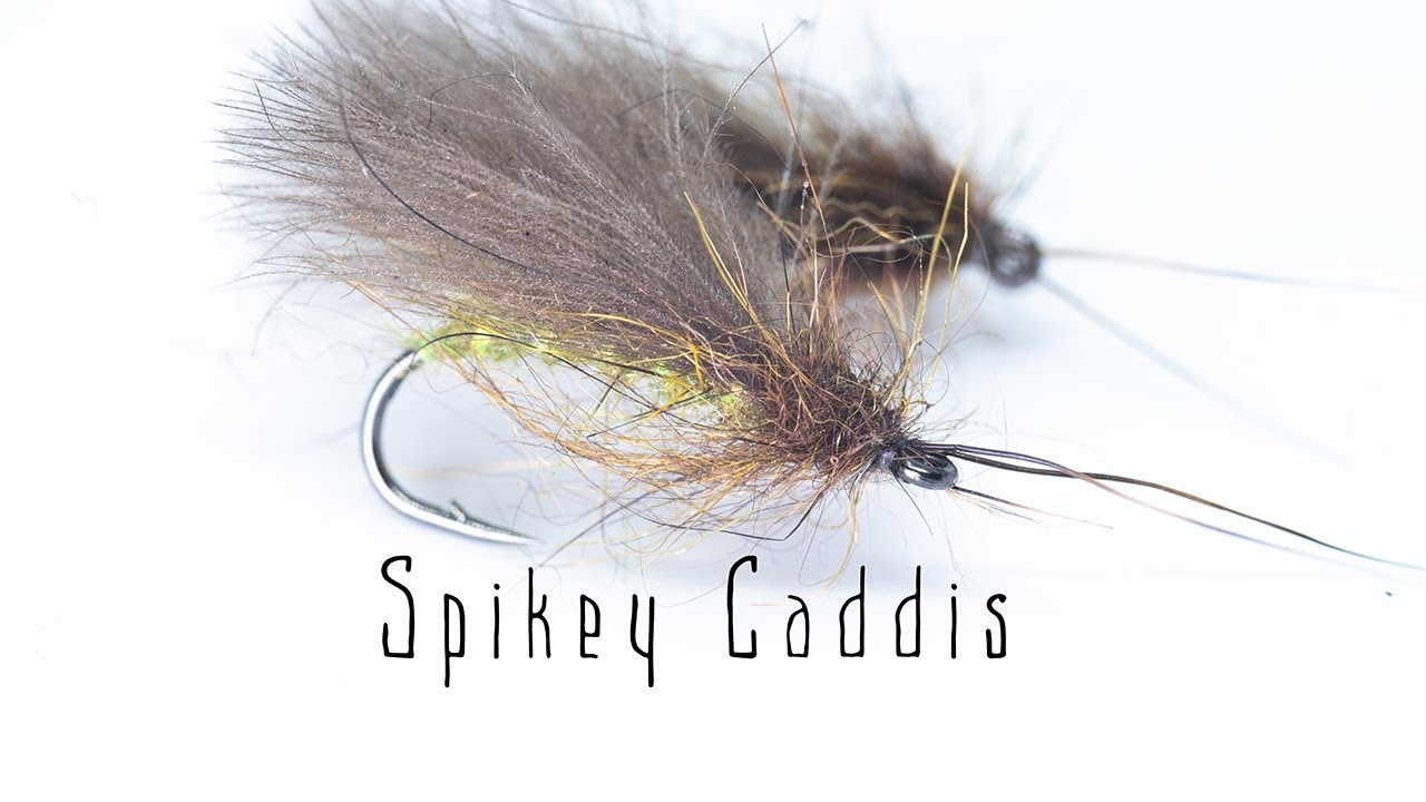 Spikey Caddis