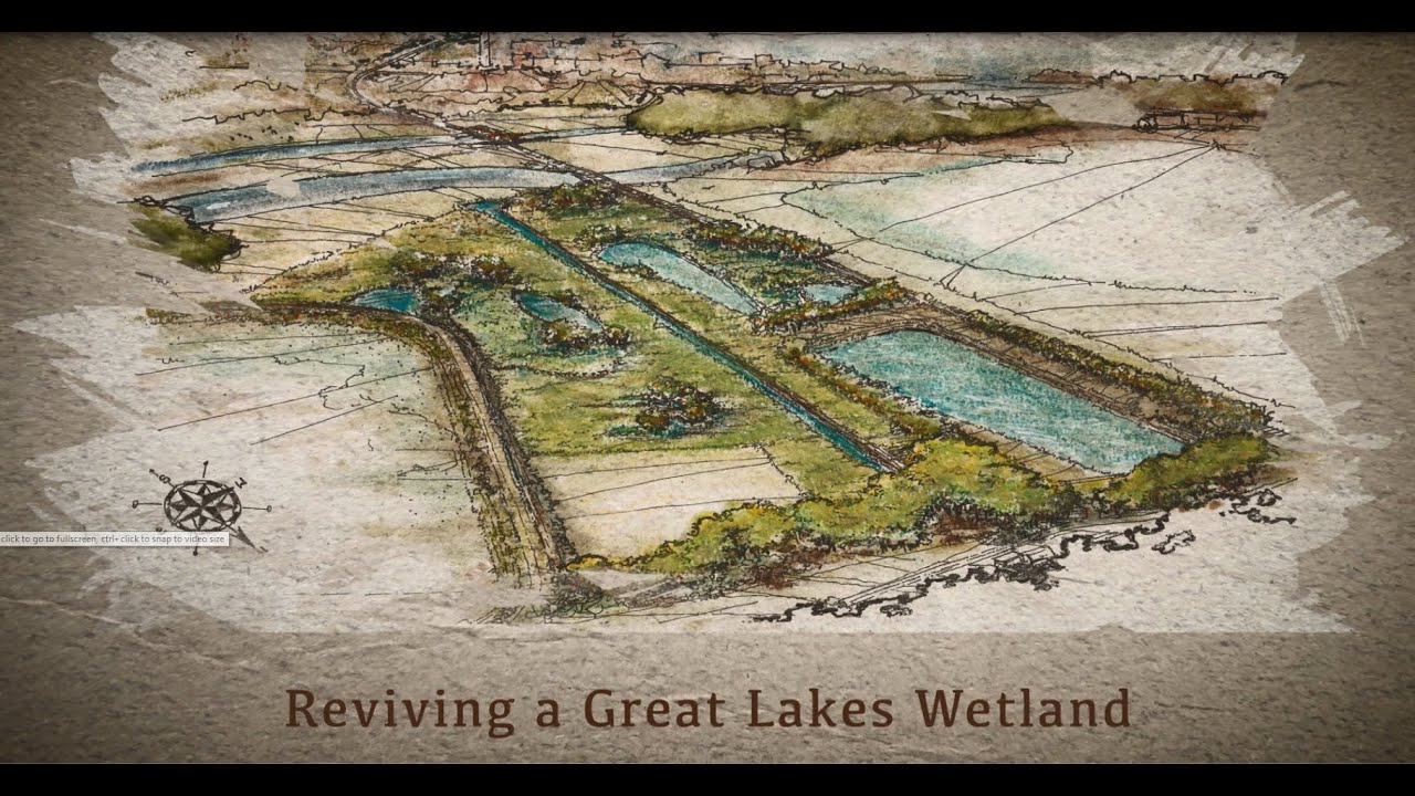 Reviving a Great Lakes Wetland