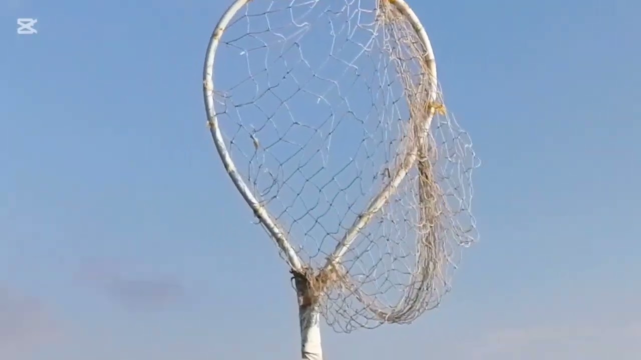 طلعنا حمام الموعد وجوز البواز باضو 👍♥️