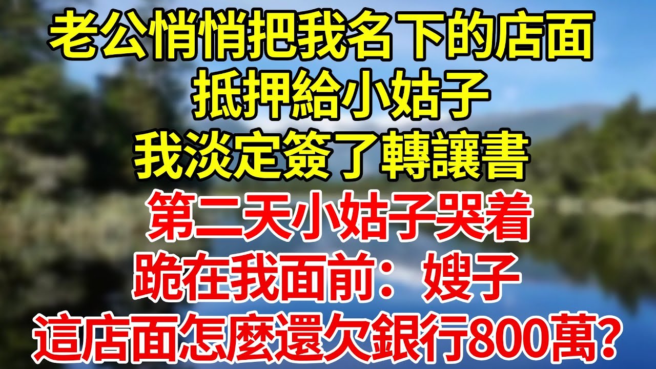 老公悄悄把我名下的店面抵押給小姑子，我淡定簽了轉讓書，第二天，小姑子哭着跪在我面前：嫂子，這店面怎麼還欠銀行800萬？#婚姻#爽文#情感故事#女性逆襲#深夜故事
