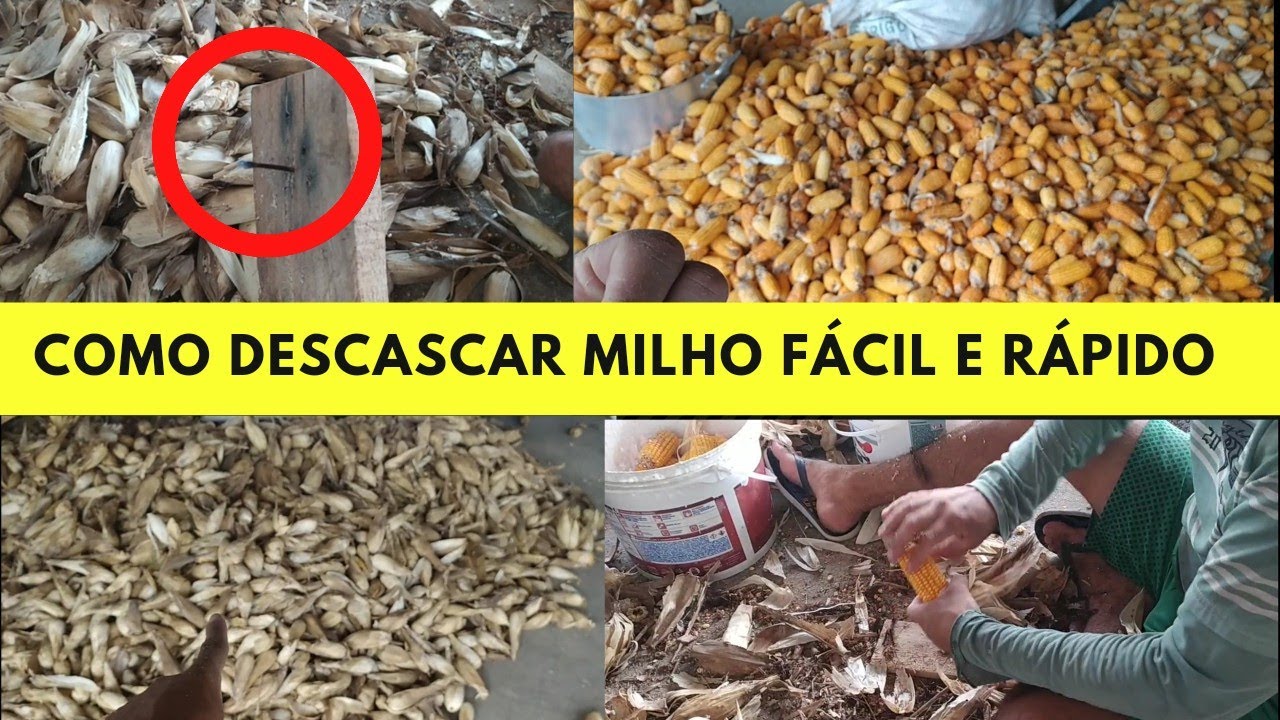 Com essa ferramenta você vai descascar milho em poucos segundo rápido e fácil #descascar #milho