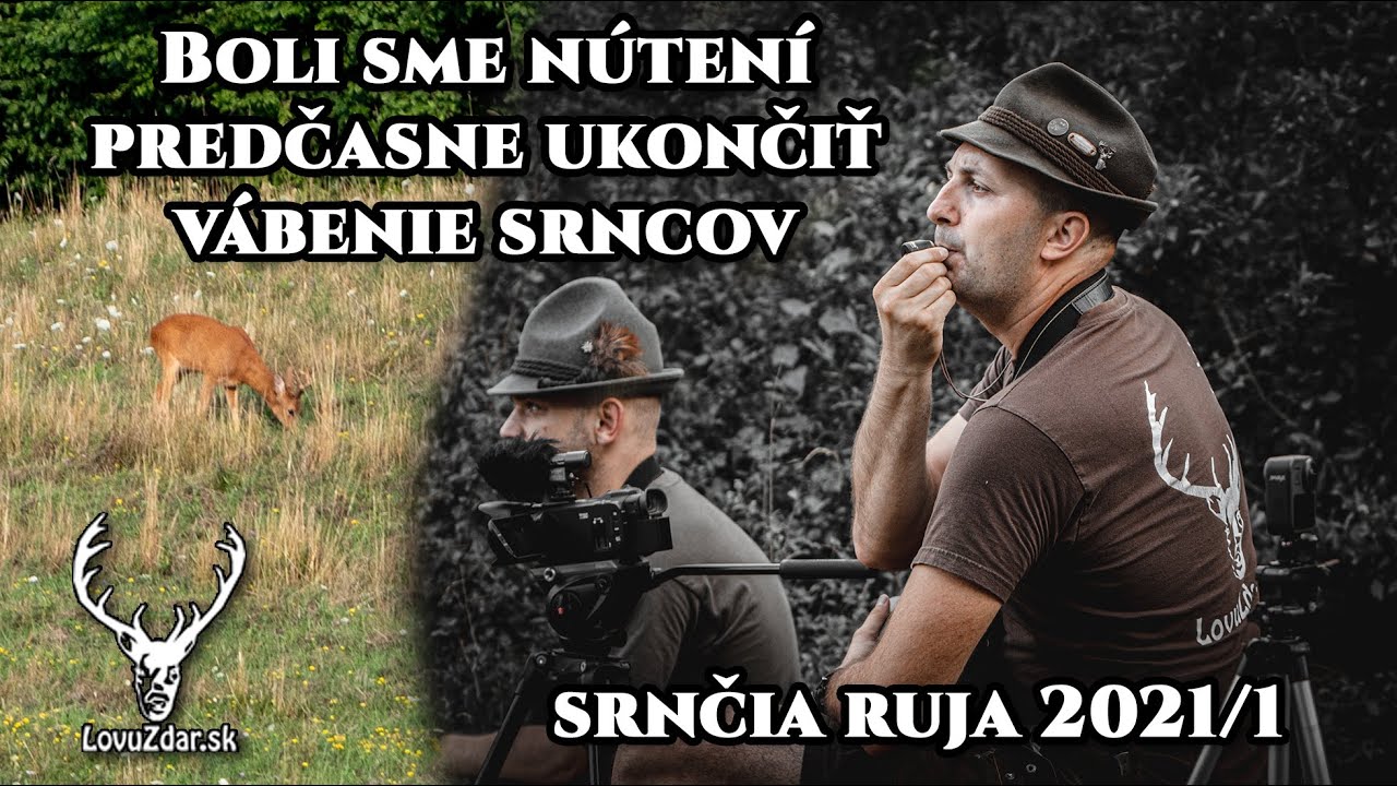 Boli sme nútení predčasne ukončiť vábenie srncov | srnčia ruja 2021/1