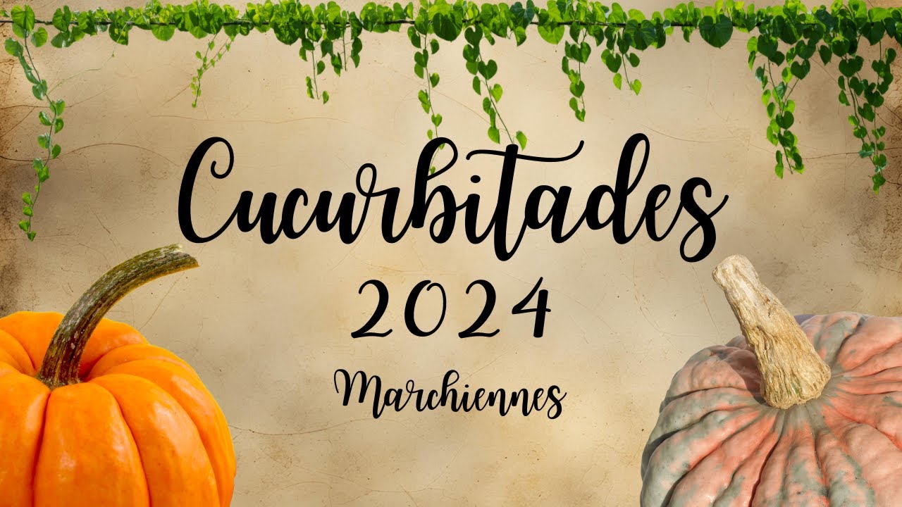 Cucurbitades 2024