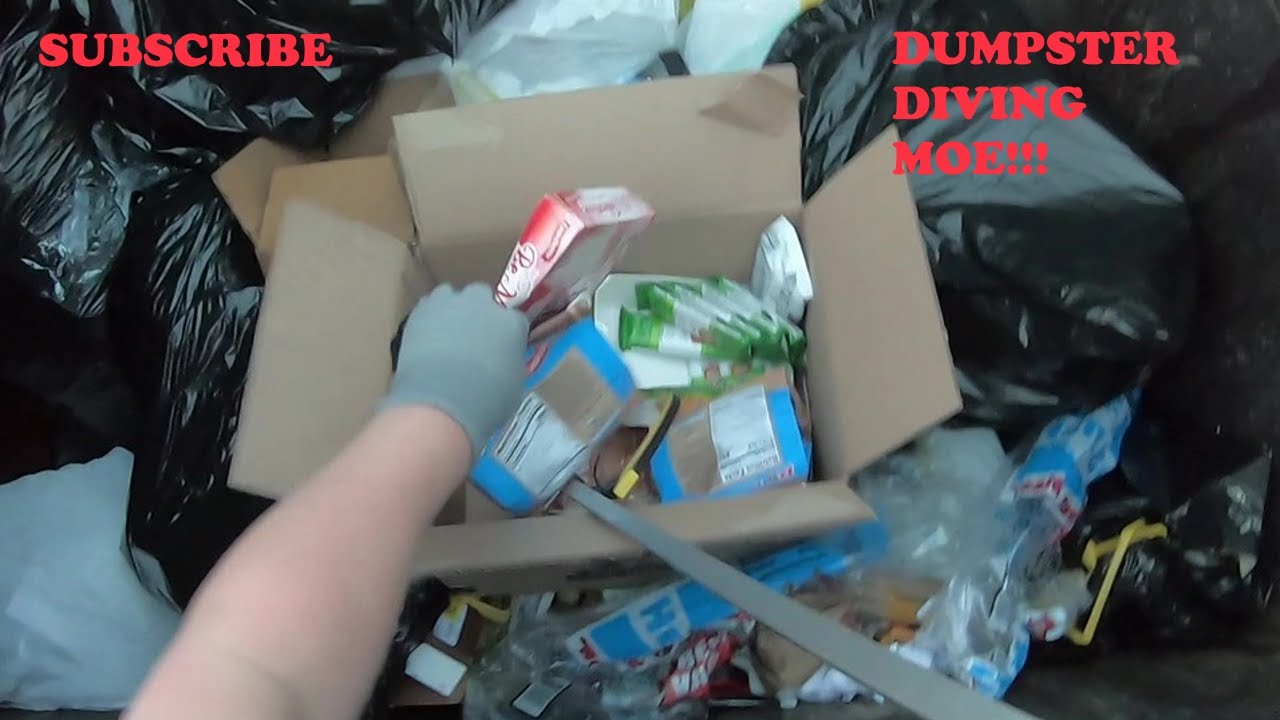 Daytime Dumpster Diving while out running errands!