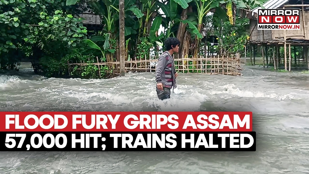 Assam Flood Fury: 1 Dead, 57,000 Affected As Rivers Breach Danger Mark; Forces Deployed | watch