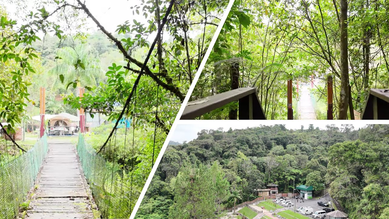 DJI Mini 4 Pro: Immersive Drone Exploration of Cameron Highlands at Parit Fall🌊🌲
