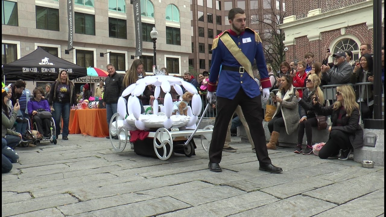 🐶 Halloween Pet / dog Parade & Costume Contest 2016 Boston