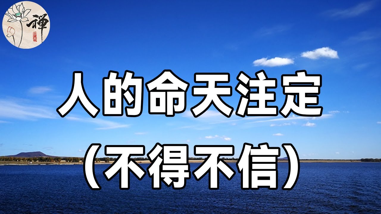 佛禪：人該不該信命？人這一生，皆有定數！萬事萬物，冥冥之中自有安排，你不得不信