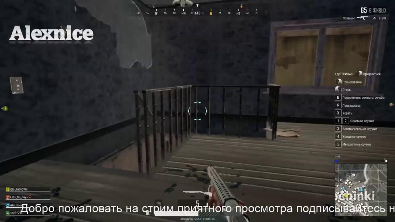alexnice play pubg
