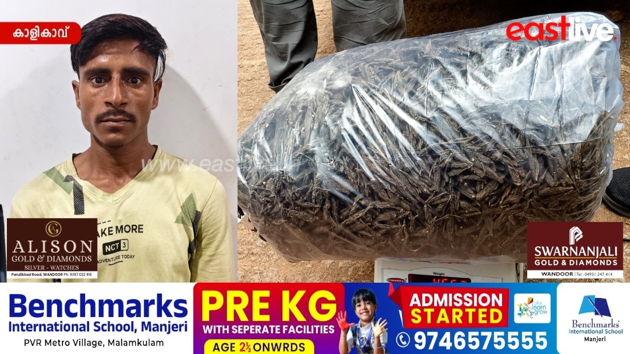 വില്പനയ്ക്കായി കൈവശം വെച്ച നാലര കിലോ കഞ്ചാവുമായി യുവാവ് പിടിയിൽ