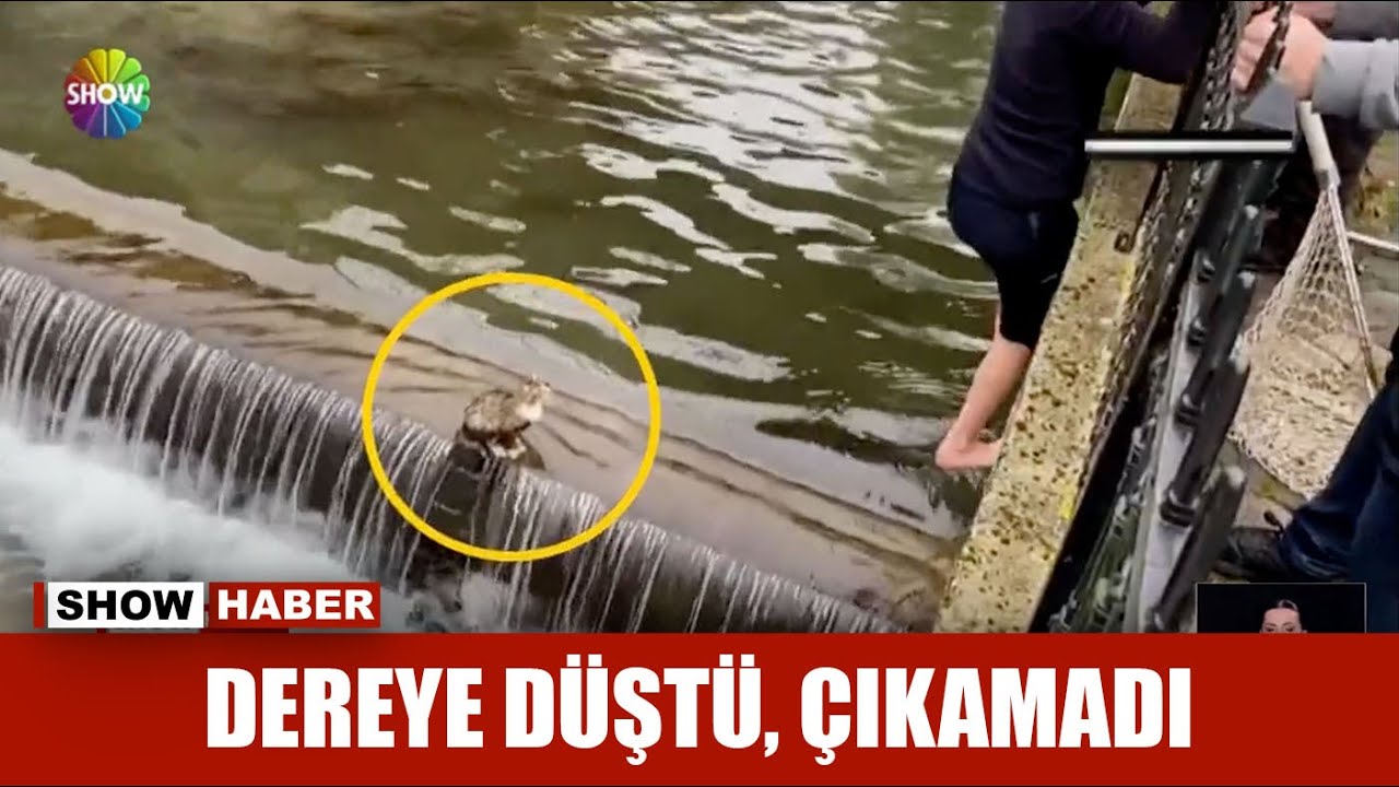 Dereye düştü, çıkamadı