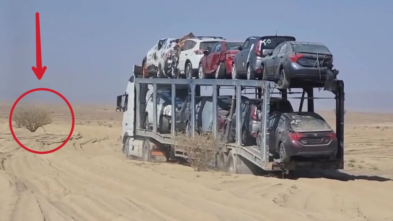 صحراء السعوديه الربع الخالي اليمن الجوف شاهد ماذا حدث