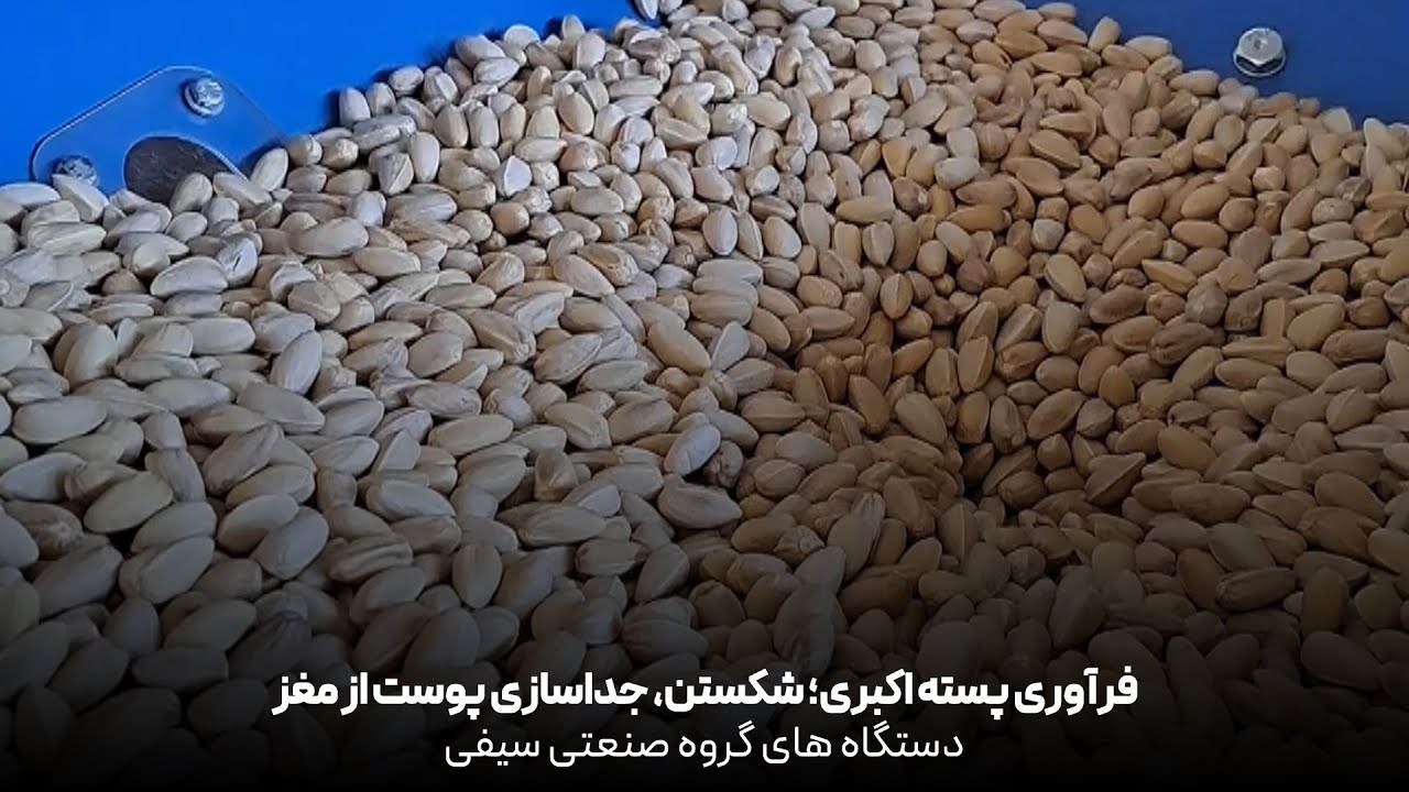 Akbari Pistachio Processing: Hard Shell Cracker and Separator with Seyfi Industrial Group Machinery