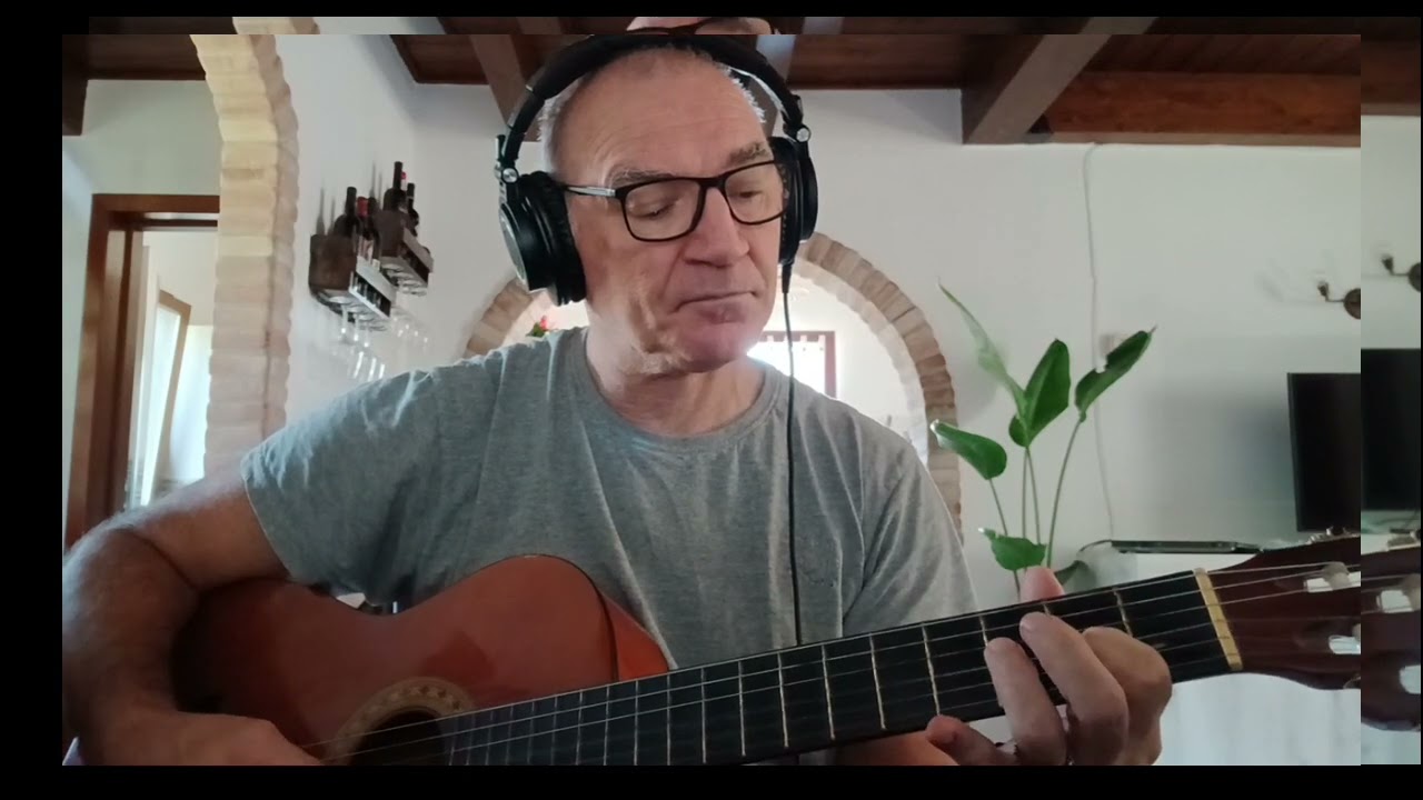 Fields of gold - Sting cover guitar
