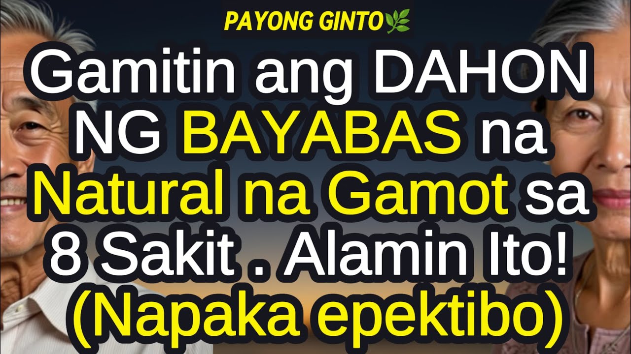 ❗Mga Senior, Gamitin ang Dahon ng Bayabas na Panlunas sa 8 Sakit at Para sa Mabuting Kalusugan| Tips