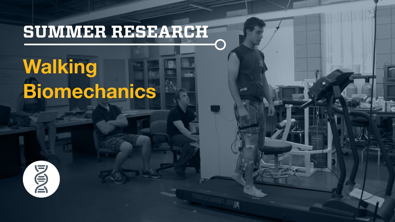 Summer Research: Walking Biomechanics