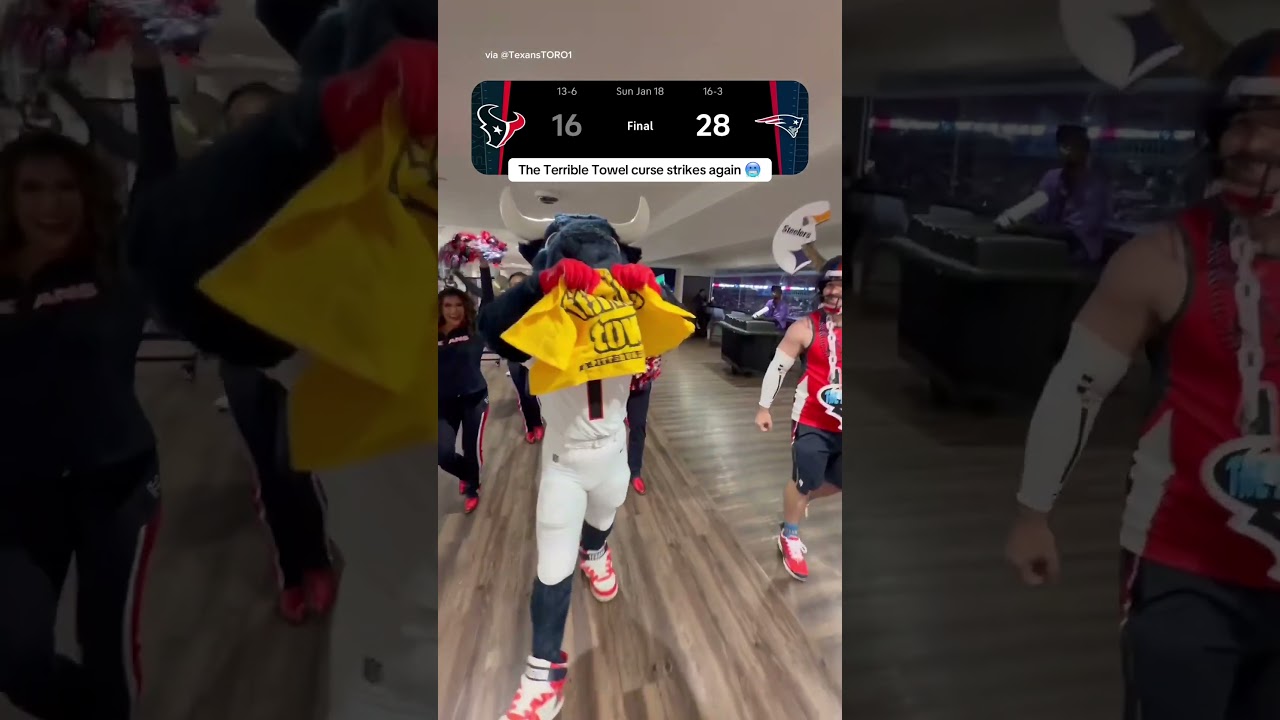Texans mascot Toro ripped the terrible towel after eliminating the Steelers. 🥶