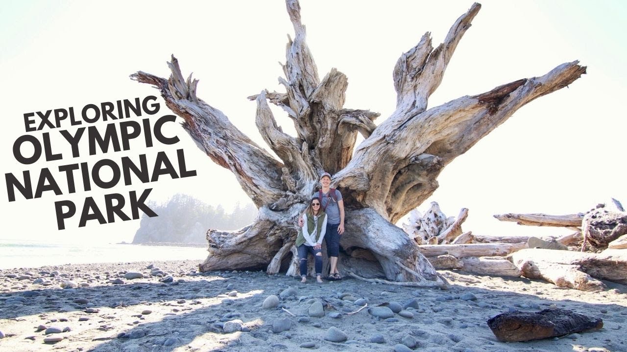 2 Days Exploring Olympic National Park: Hoh Rainforest, La Push Beach, Ruby Beach + the Tree of Life
