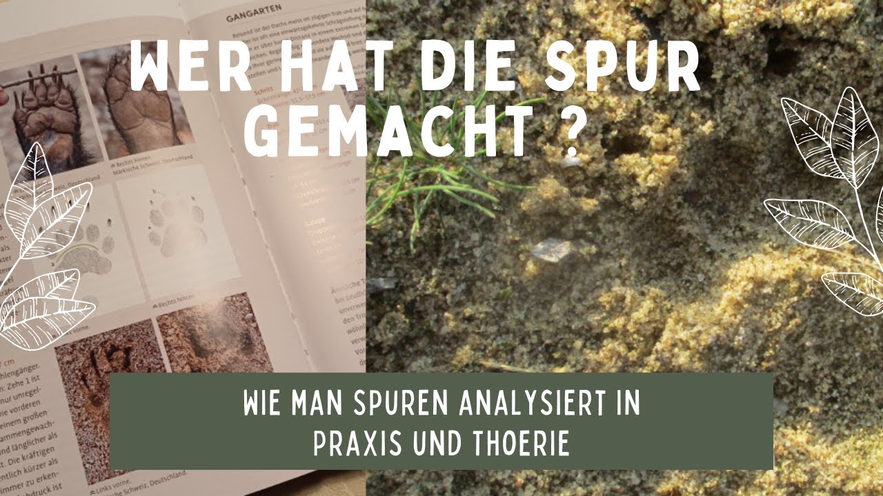 Wer war das? - So findest Du jede Spur raus - Teil 1