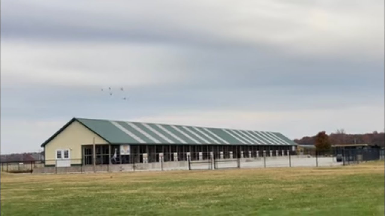 Racing Pigeons - Weekend @ The Hoosier Classic One Loft Race
