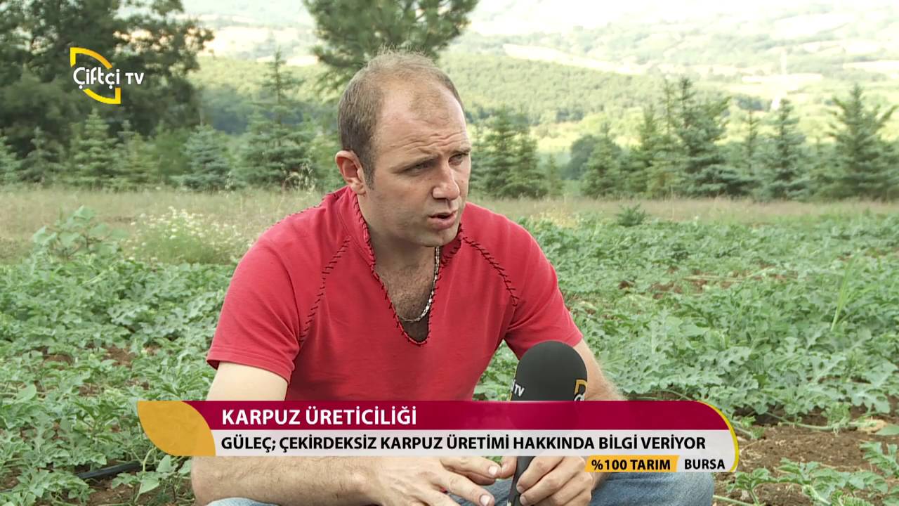 %Yüz Tarım-Karpuz Yetiştiriciliği
