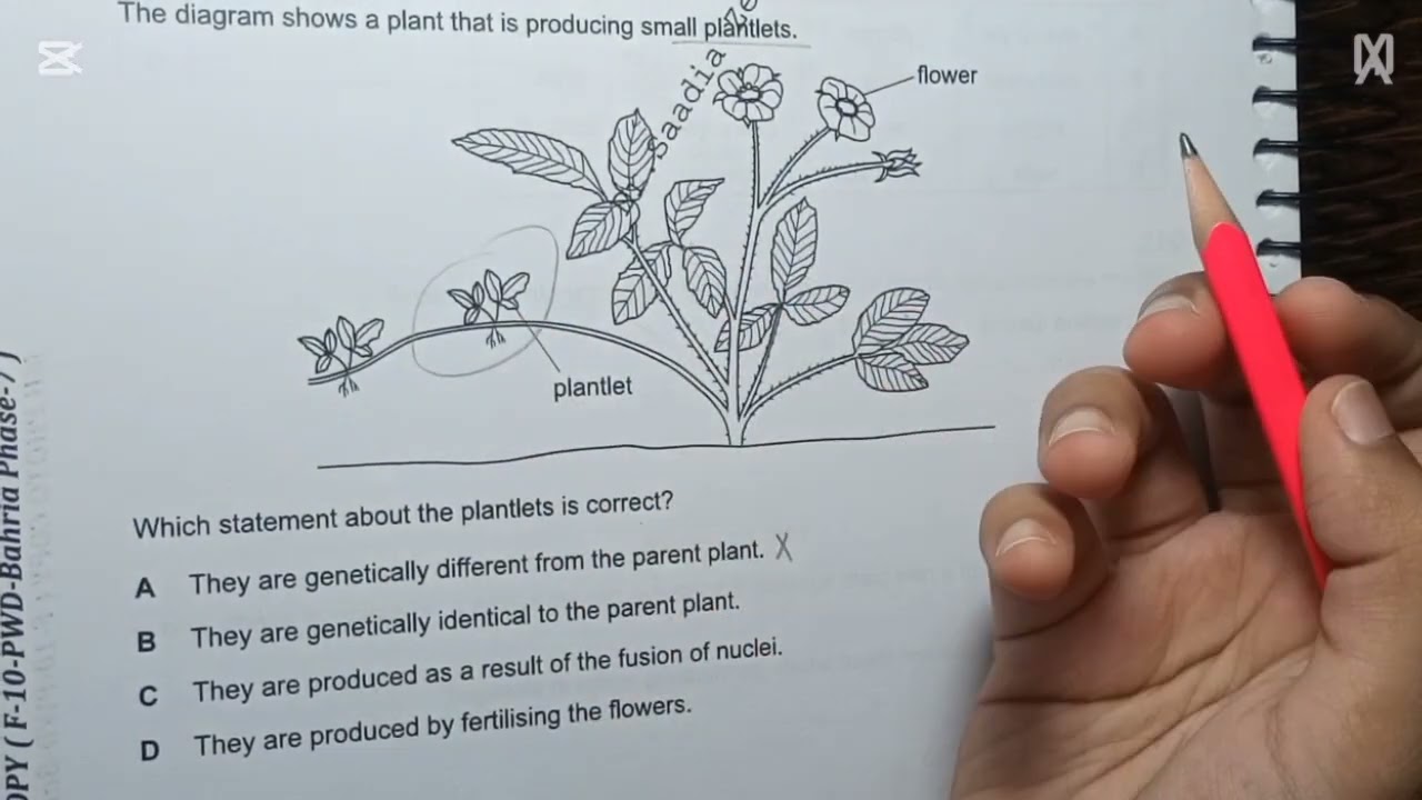 Reproduction in plants, Q1-30 topical past papers (2012-2020), Paper 2 (Part 1) 🌸☄️ IGCSE Biology 🌠