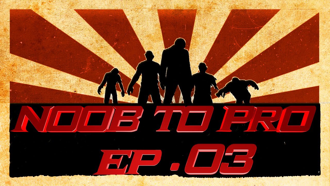 Zombies | Noob to Pro #3 - Perks