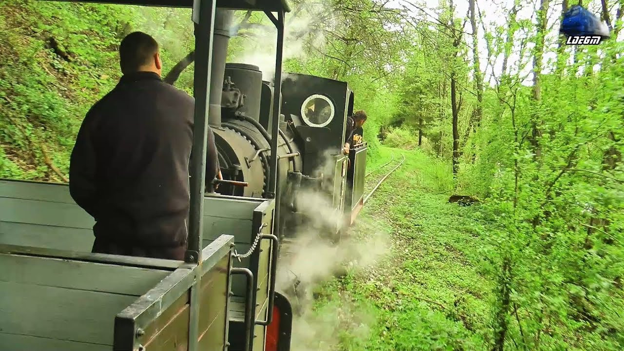 Călătorie Abrud-Câmpeni Train Ride cu/with Mocănița 762.209 CFI Steam Loco - 01 May 2019