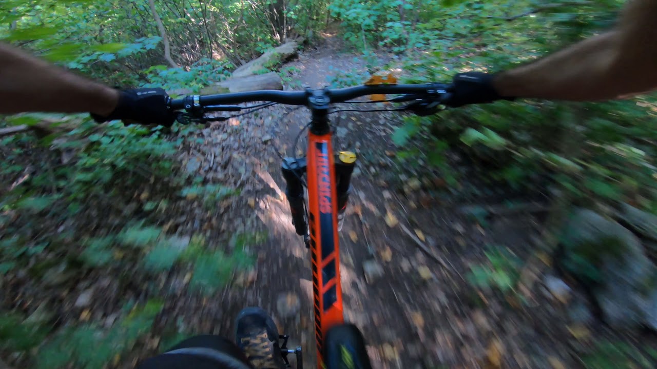 Hárs-hegy Rézsűtrail első menet