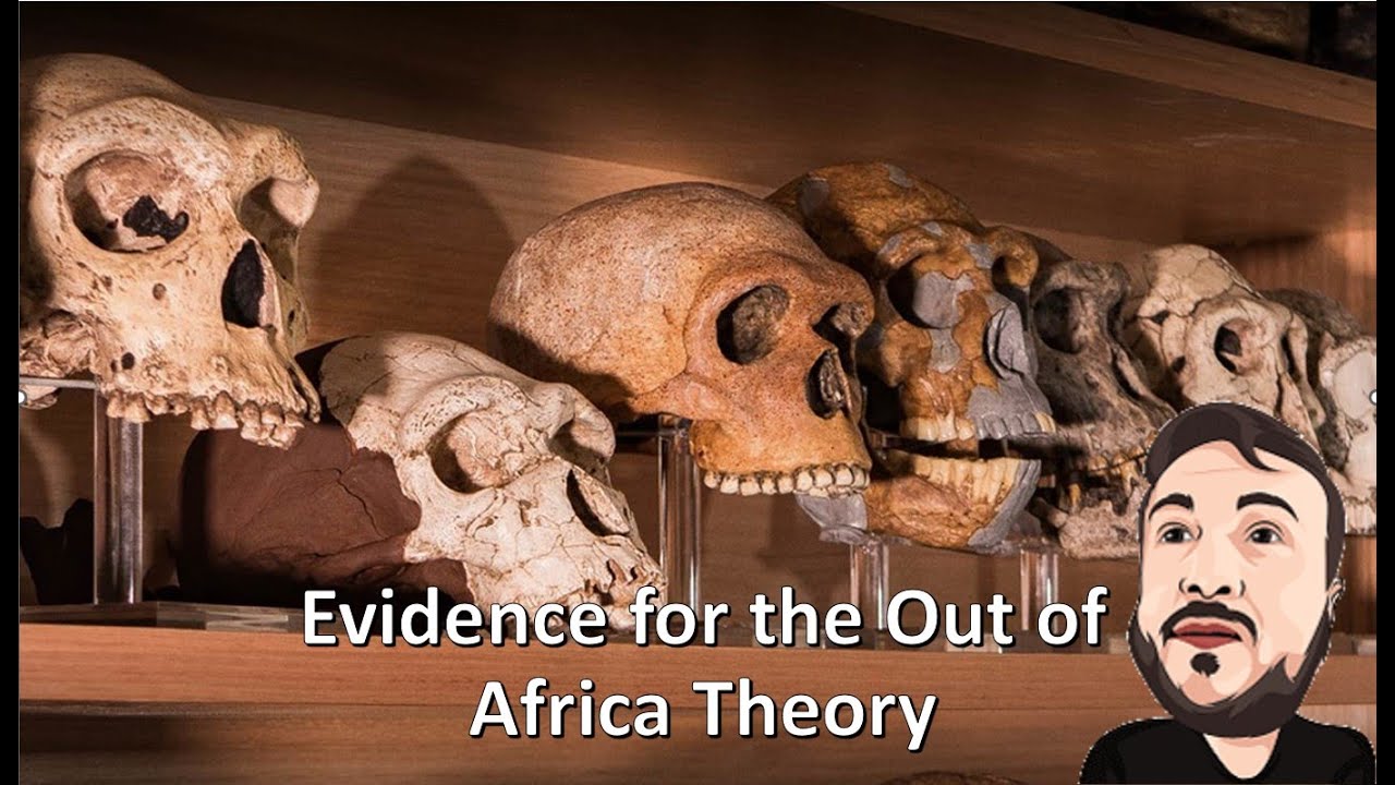 The Out of Africa Theory: Understanding the Evidence
