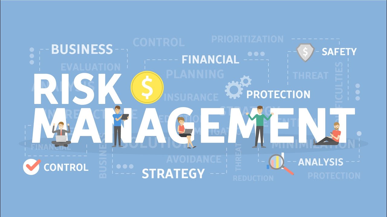 The Risk Management Process - Week 1: S2