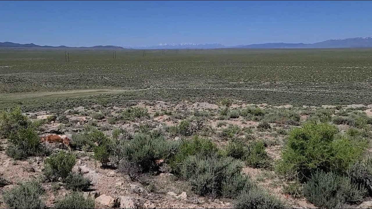 06-16-2023, The Open Range From Hot Spring Hill