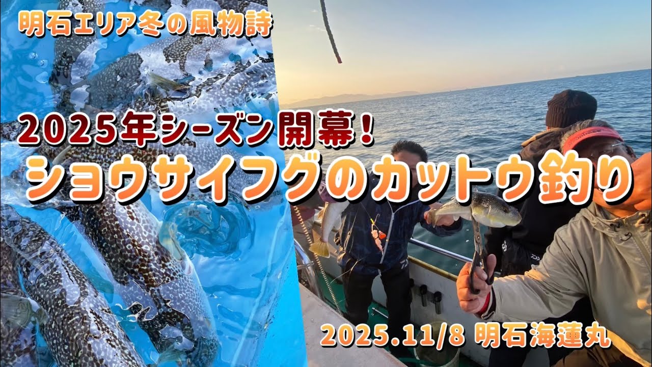 2025年シーズン開幕！ショウサイフグのカットウ釣り！！