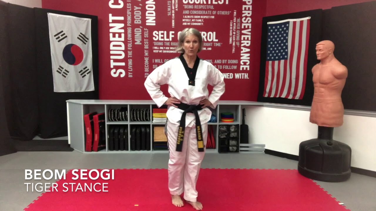 Techniques - Tiger Stance (BEOM SEOGI)