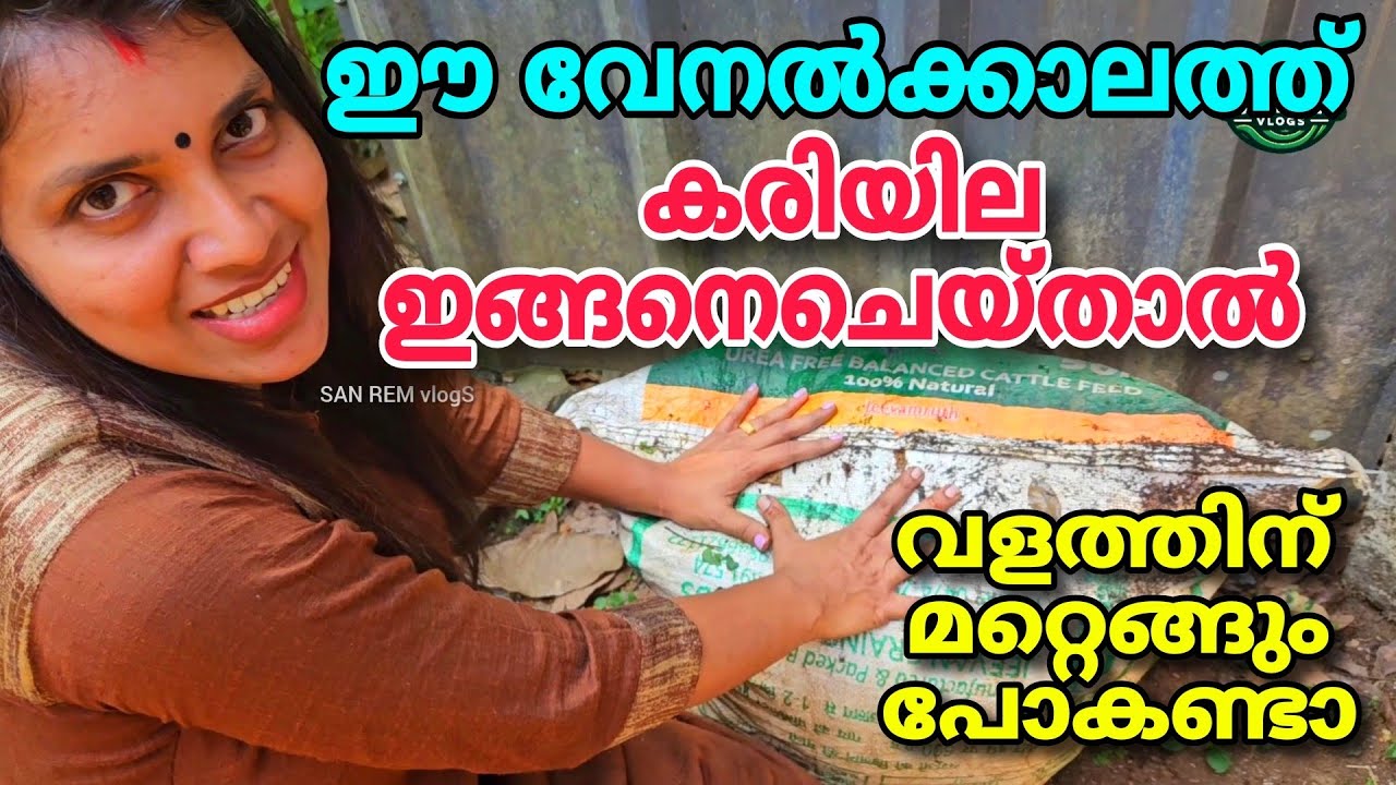 ഈ വേനൽക്കാലത്ത് കരിയില ഇങ്ങനെ ചെയ്താൽ | വളത്തിന്  മറ്റെങ്ങും പോകണ്ടാ | Agriculture tips malayalam