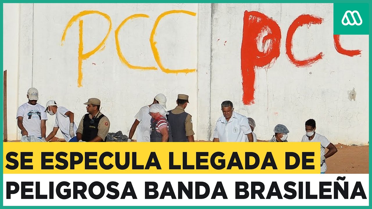Diputados UDI aseguran que peligrosa banda criminal brasileña estaría en Chile