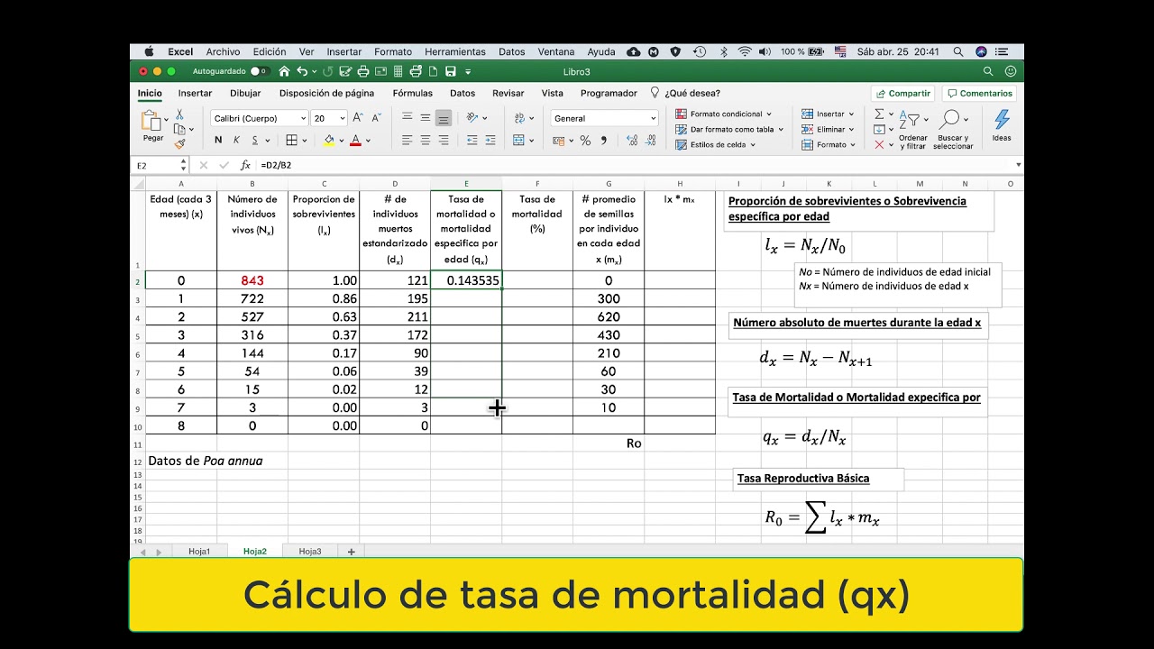 Tabla de Vida en Ecologia de Poblaciones - uso de excel
